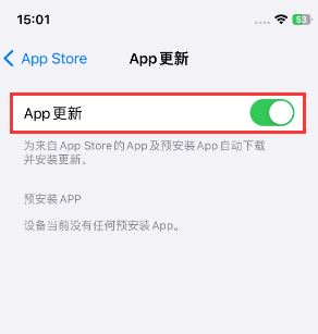 麻涌镇苹果15维修中心如何让iPhone15APP自动更新