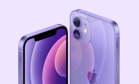 麻涌镇苹果手机维修分享紫色版iPhone 12有什么技术亮点 